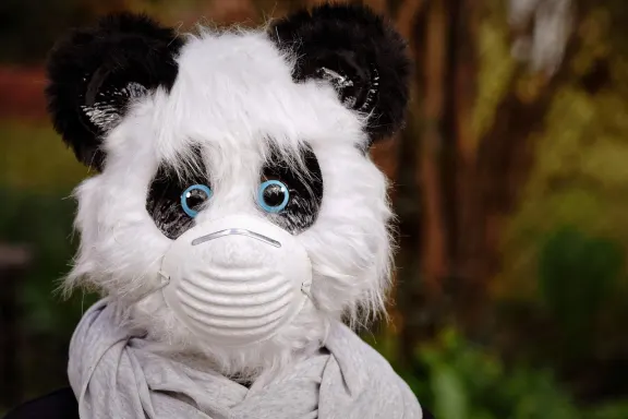 NoxWin Casino Tacaíocht